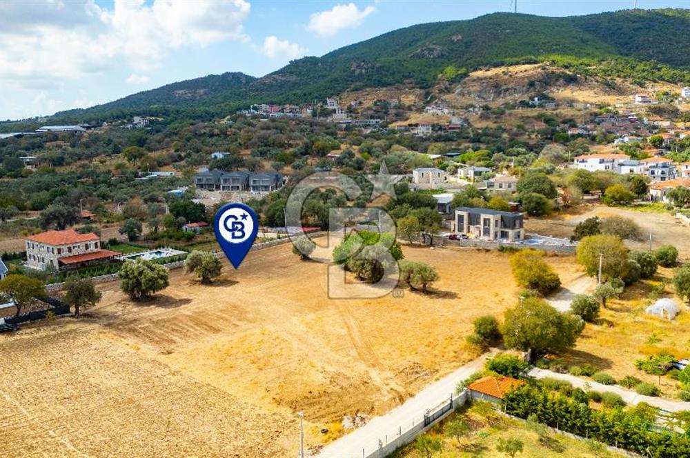 Foça Kozbeyli'de Satılık Tarla