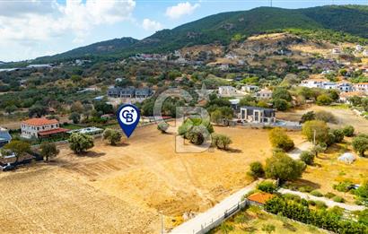 Foça Kozbeyli'de Satılık Tarla