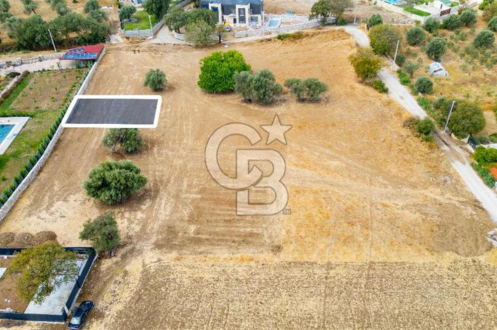 Foça Kozbeyli'de Satılık Tarla