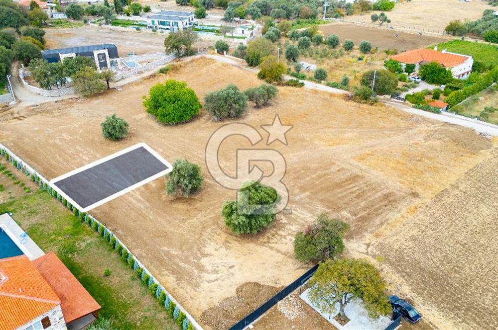 Foça Kozbeyli'de Satılık Tarla