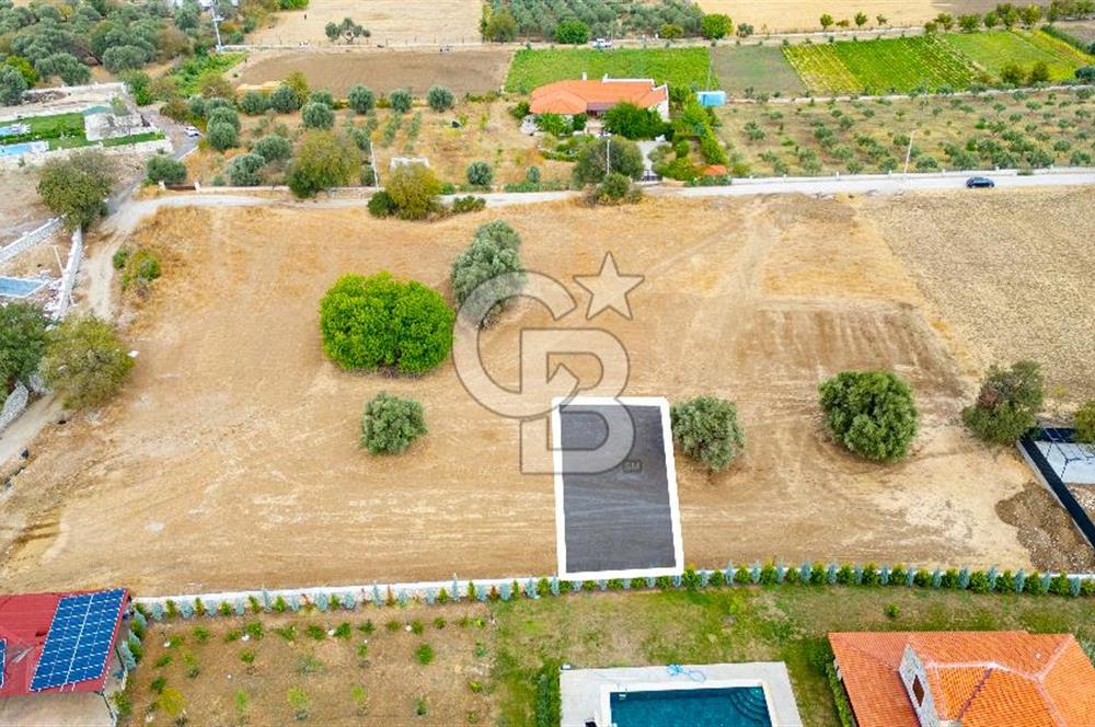 Foça Kozbeyli'de Satılık Tarla