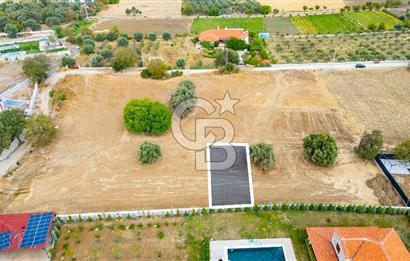 Foça Kozbeyli'de Satılık Tarla