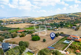 Foça Kozbeyli'de Satılık Tarla - 9 - 341113