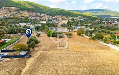 Foça Kozbeyli'de Satılık Tarla