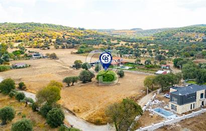 Foça Kozbeyli'de Satılık Tarla