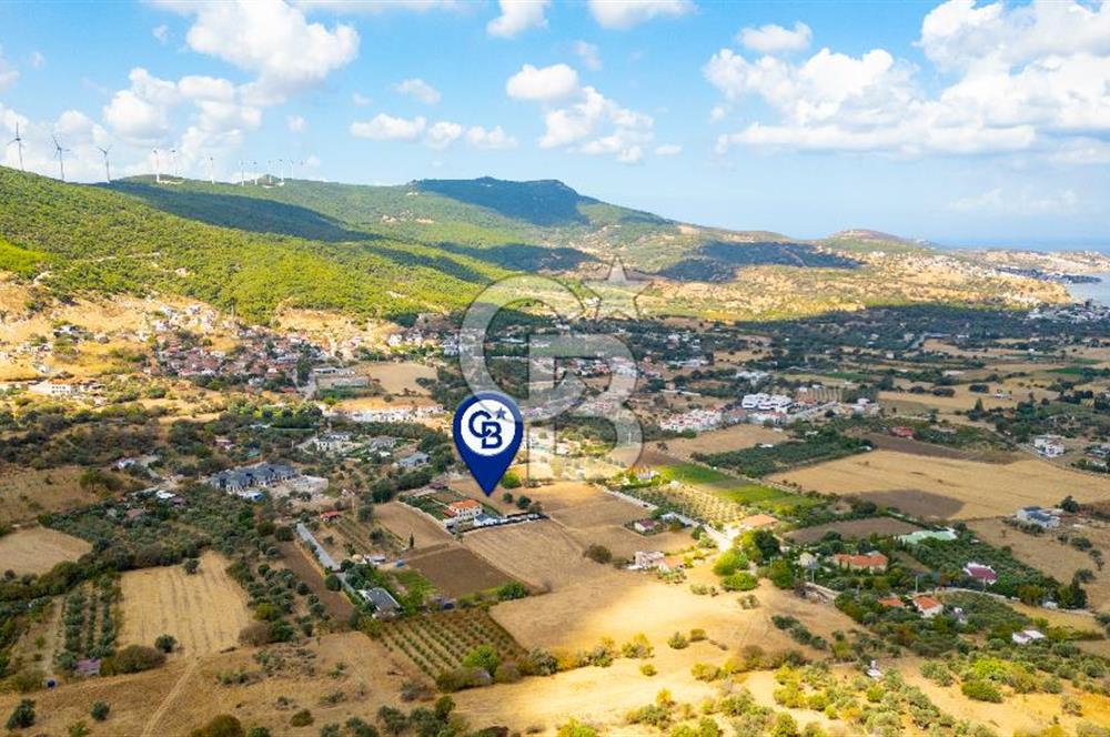 Foça Kozbeyli'de Satılık Tarla