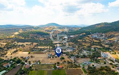 Foça Kozbeyli'de Satılık Tarla