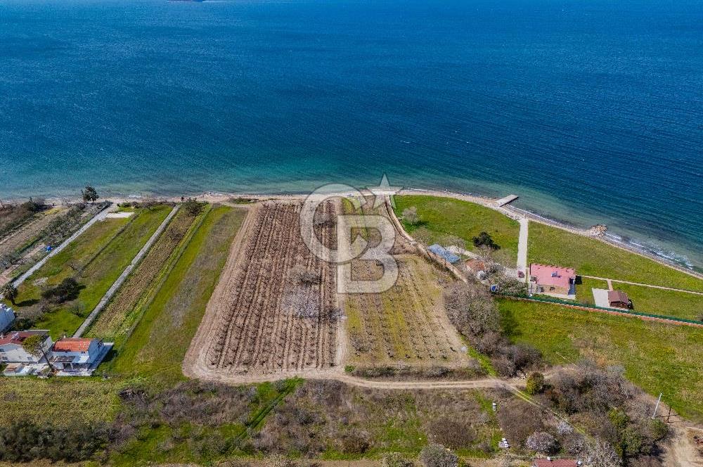 Lapseki Sulucada Denize Sıfır Köprü Manzaralı | 1.930 m² Tarla