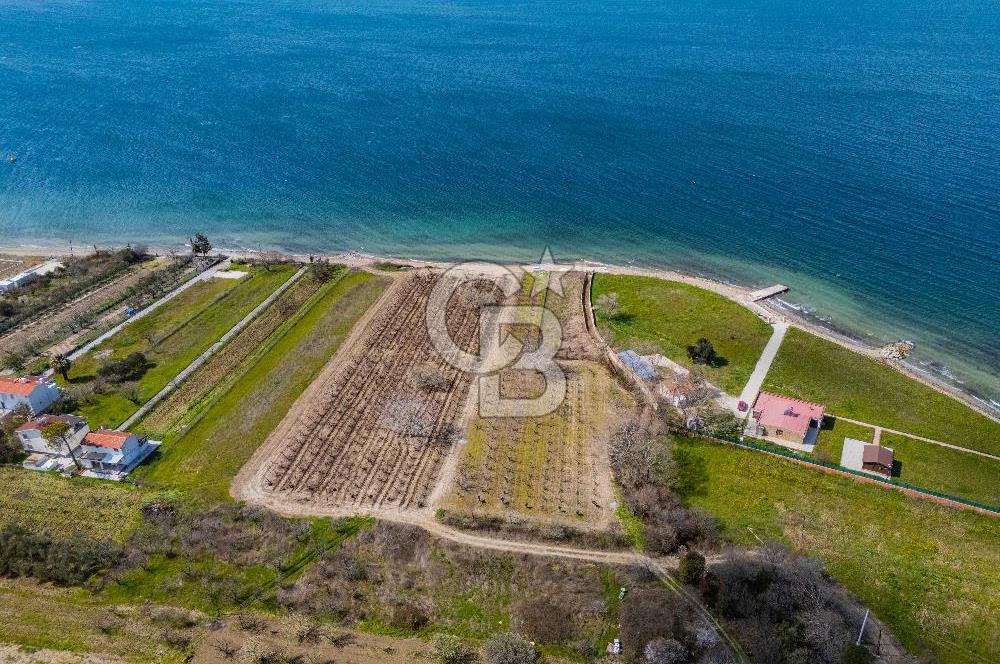 Lapseki Sulucada Denize Sıfır Köprü Manzaralı | 1.930 m² Tarla