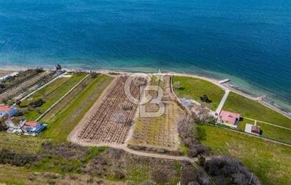 Lapseki Sulucada Denize Sıfır Köprü Manzaralı | 1.930 m² Tarla