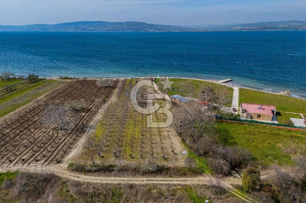 Lapseki Sulucada Denize Sıfır Köprü Manzaralı | 1.930 m² Tarla