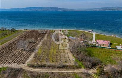Lapseki Sulucada Denize Sıfır Köprü Manzaralı | 1.930 m² Tarla