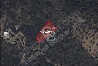 Güzelbahçe/ Kücükkaya ' da Hobi bahçesi/ Zeytinlik - 8 - 341119