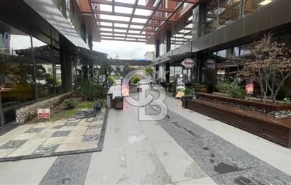 SAMSUN İLKADIM BORKONUT NİŞ B BLOK KİRALIK BÜRO & OFİS