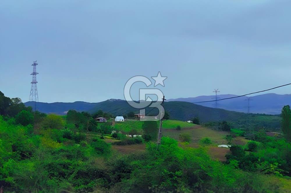 YALOVA ÇİFTLİKKÖYDE ANAYOLA CEPHE 10.521 M² YATIRIMLIK ARSA