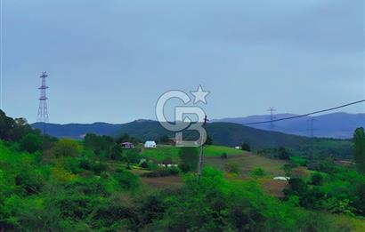 YALOVA ÇİFTLİKKÖYDE ANAYOLA CEPHE 10.521 M² YATIRIMLIK ARSA