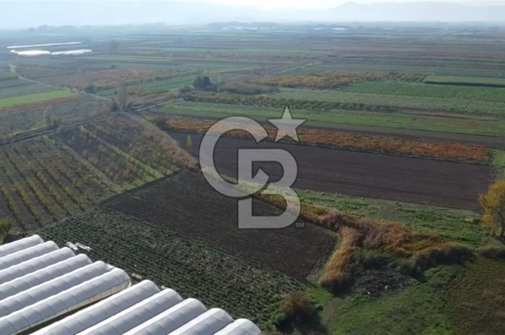 PAMUKOVA ÇARDAK’TA YATIRIMLIK 1.512 M² DÜZ ARAZİ