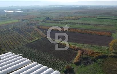 PAMUKOVA ÇARDAK’TA YATIRIMLIK 1.512 M² DÜZ ARAZİ