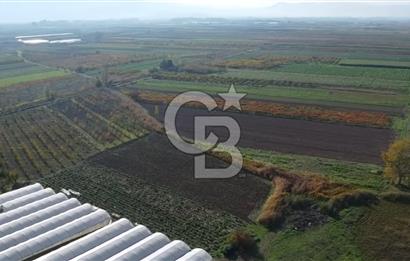 PAMUKOVA ÇARDAK’TA YATIRIMLIK 1.512 M² DÜZ ARAZİ