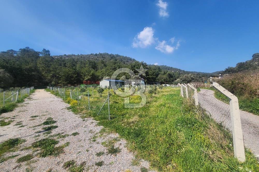 Menderes Ahmetbeyli Satılık Yanyana 2 Adet Kooperatif Bahçesi