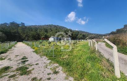 Menderes Ahmetbeyli Satılık Yanyana 2 Adet Kooperatif Bahçesi