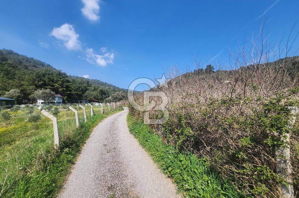 Menderes Ahmetbeyli Satılık Yanyana 2 Adet Kooperatif Bahçesi