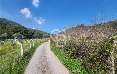 Menderes Ahmetbeyli Satılık Yanyana 2 Adet Kooperatif Bahçesi