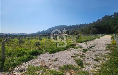 Menderes Ahmetbeyli Satılık Yanyana 2 Adet Kooperatif Bahçesi