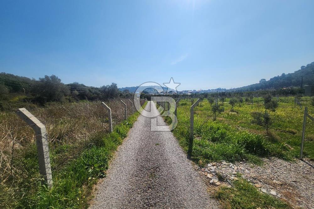 Menderes Ahmetbeyli Satılık Yanyana 2 Adet Kooperatif Bahçesi