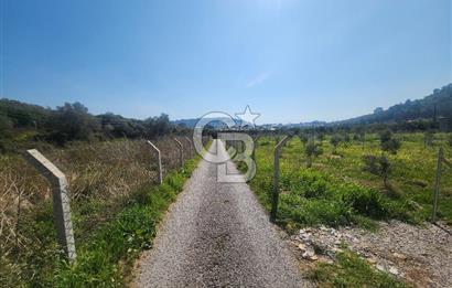 Menderes Ahmetbeyli Satılık Yanyana 2 Adet Kooperatif Bahçesi