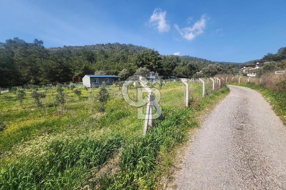 Menderes Ahmetbeyli Satılık Yanyana 2 Adet Kooperatif Bahçesi