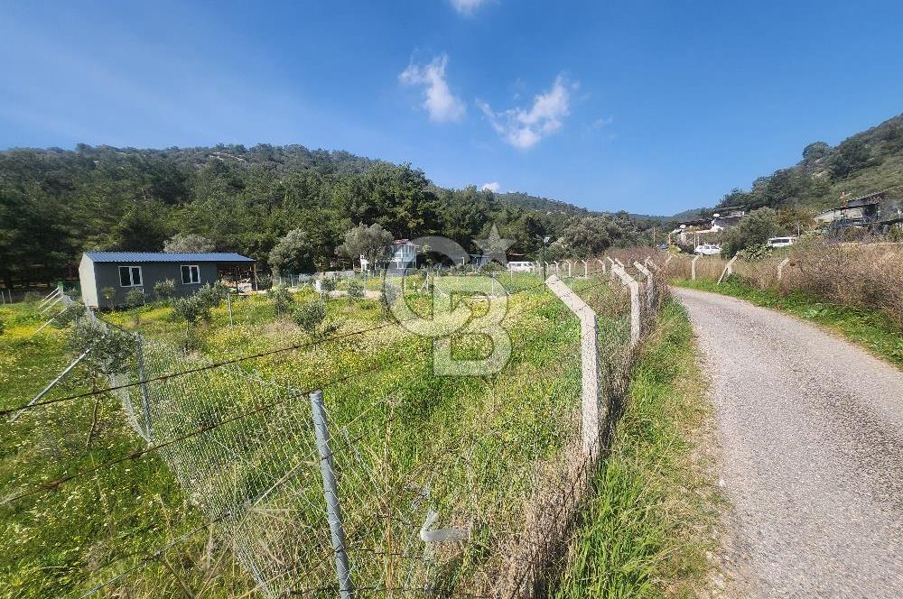 Menderes Ahmetbeyli Satılık Yanyana 2 Adet Kooperatif Bahçesi