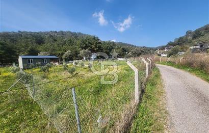 Menderes Ahmetbeyli Satılık Yanyana 2 Adet Kooperatif Bahçesi
