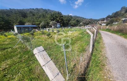 Menderes Ahmetbeyli Satılık Yanyana 2 Adet Kooperatif Bahçesi