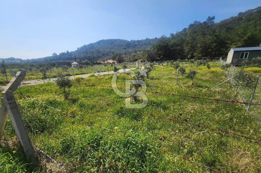 Menderes Ahmetbeyli Satılık Yanyana 2 Adet Kooperatif Bahçesi