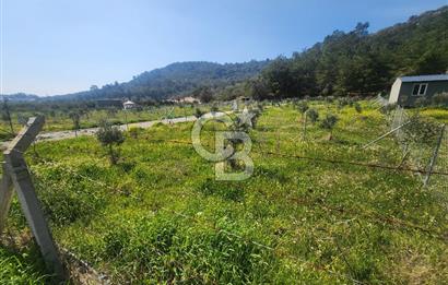 Menderes Ahmetbeyli Satılık Yanyana 2 Adet Kooperatif Bahçesi