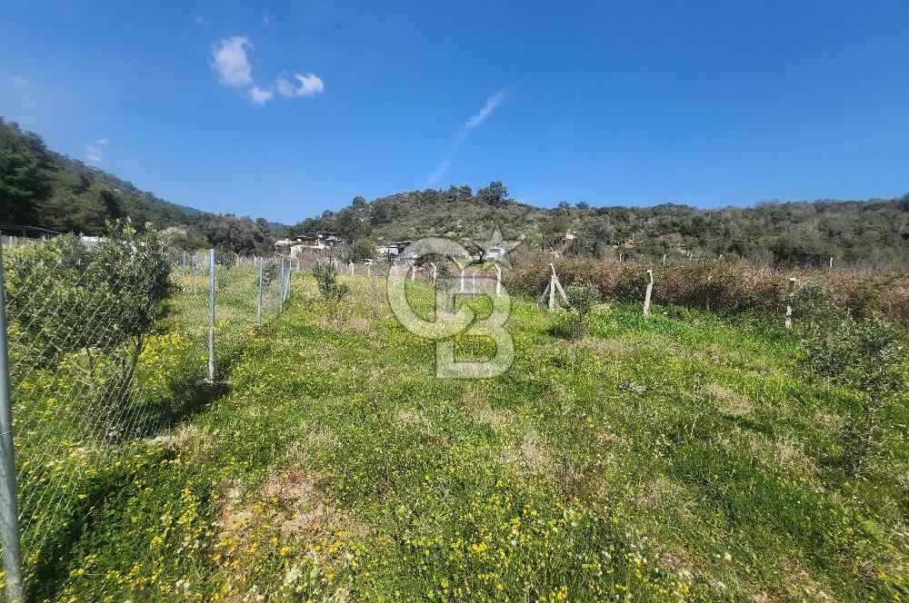 Menderes Ahmetbeyli Satılık Yanyana 2 Adet Kooperatif Bahçesi