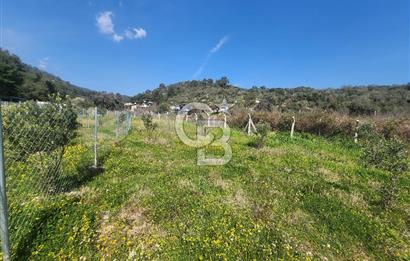 Menderes Ahmetbeyli Satılık Yanyana 2 Adet Kooperatif Bahçesi