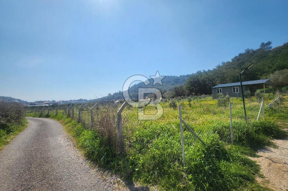 Menderes Ahmetbeyli Satılık Yanyana 2 Adet Kooperatif Bahçesi