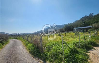 Menderes Ahmetbeyli Satılık Yanyana 2 Adet Kooperatif Bahçesi