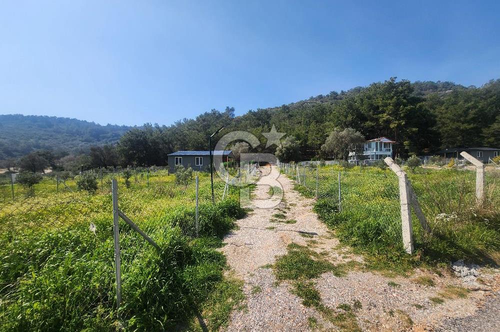 Menderes Ahmetbeyli Satılık Yanyana 2 Adet Kooperatif Bahçesi