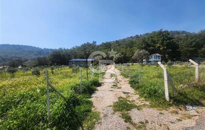 Menderes Ahmetbeyli Satılık Yanyana 2 Adet Kooperatif Bahçesi