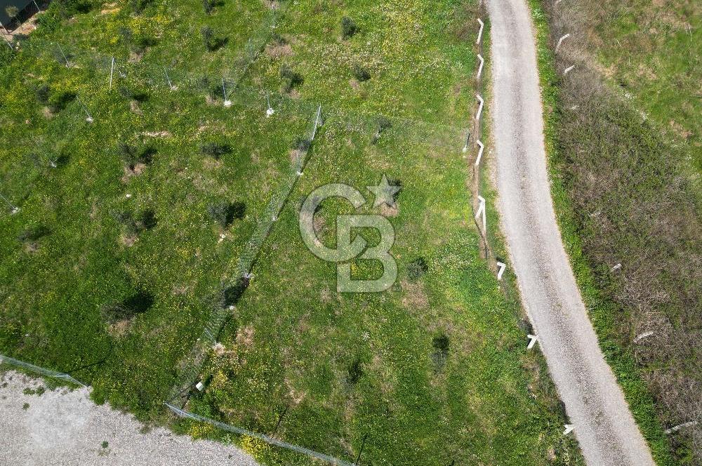 Menderes Ahmetbeyli Satılık Yanyana 2 Adet Kooperatif Bahçesi