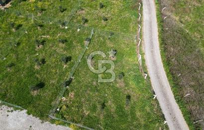 Menderes Ahmetbeyli Satılık Yanyana 2 Adet Kooperatif Bahçesi