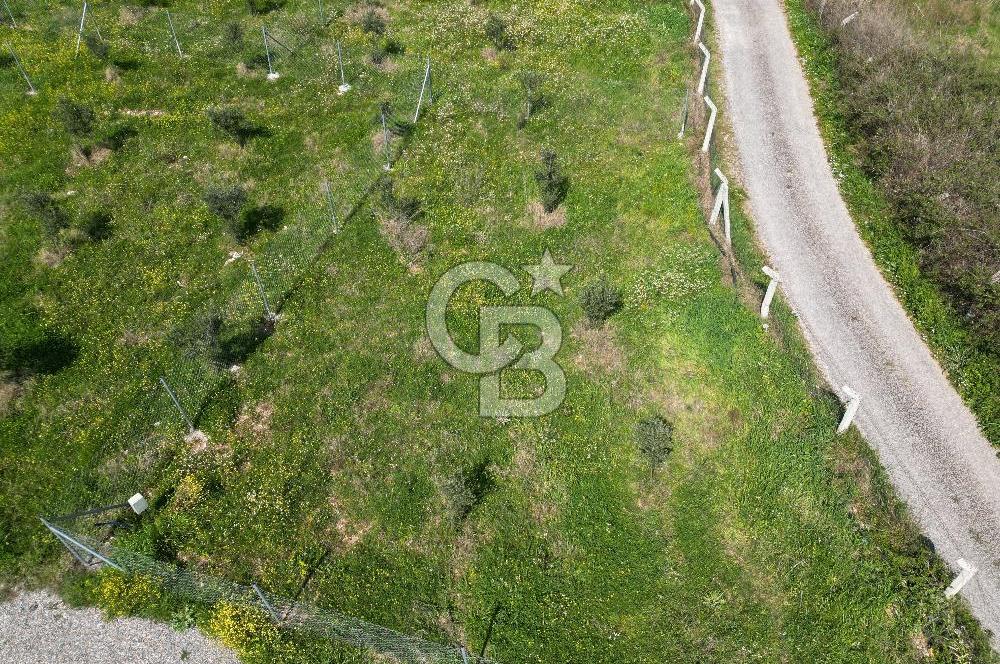 Menderes Ahmetbeyli Satılık Yanyana 2 Adet Kooperatif Bahçesi