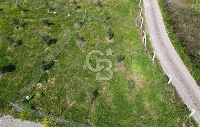 Menderes Ahmetbeyli Satılık Yanyana 2 Adet Kooperatif Bahçesi