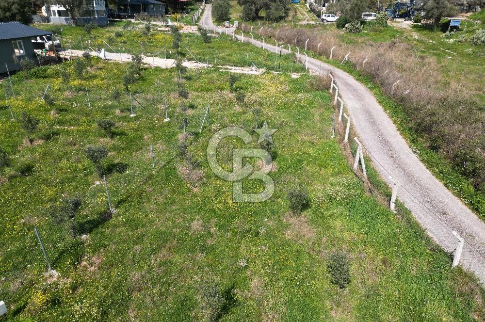 Menderes Ahmetbeyli Satılık Yanyana 2 Adet Kooperatif Bahçesi