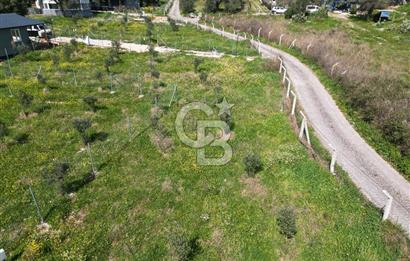 Menderes Ahmetbeyli Satılık Yanyana 2 Adet Kooperatif Bahçesi