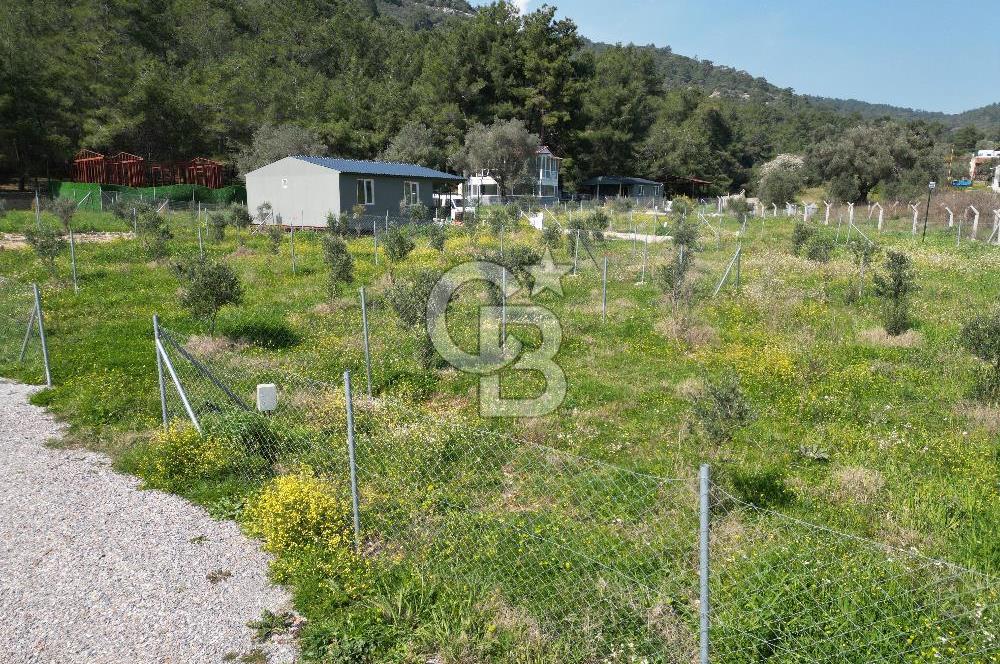 Menderes Ahmetbeyli Satılık Yanyana 2 Adet Kooperatif Bahçesi