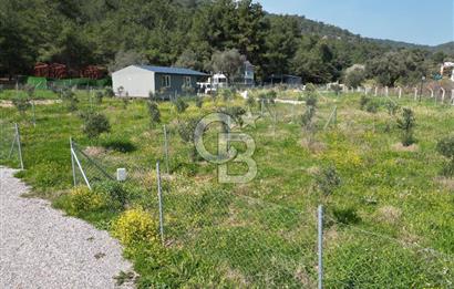 Menderes Ahmetbeyli Satılık Yanyana 2 Adet Kooperatif Bahçesi